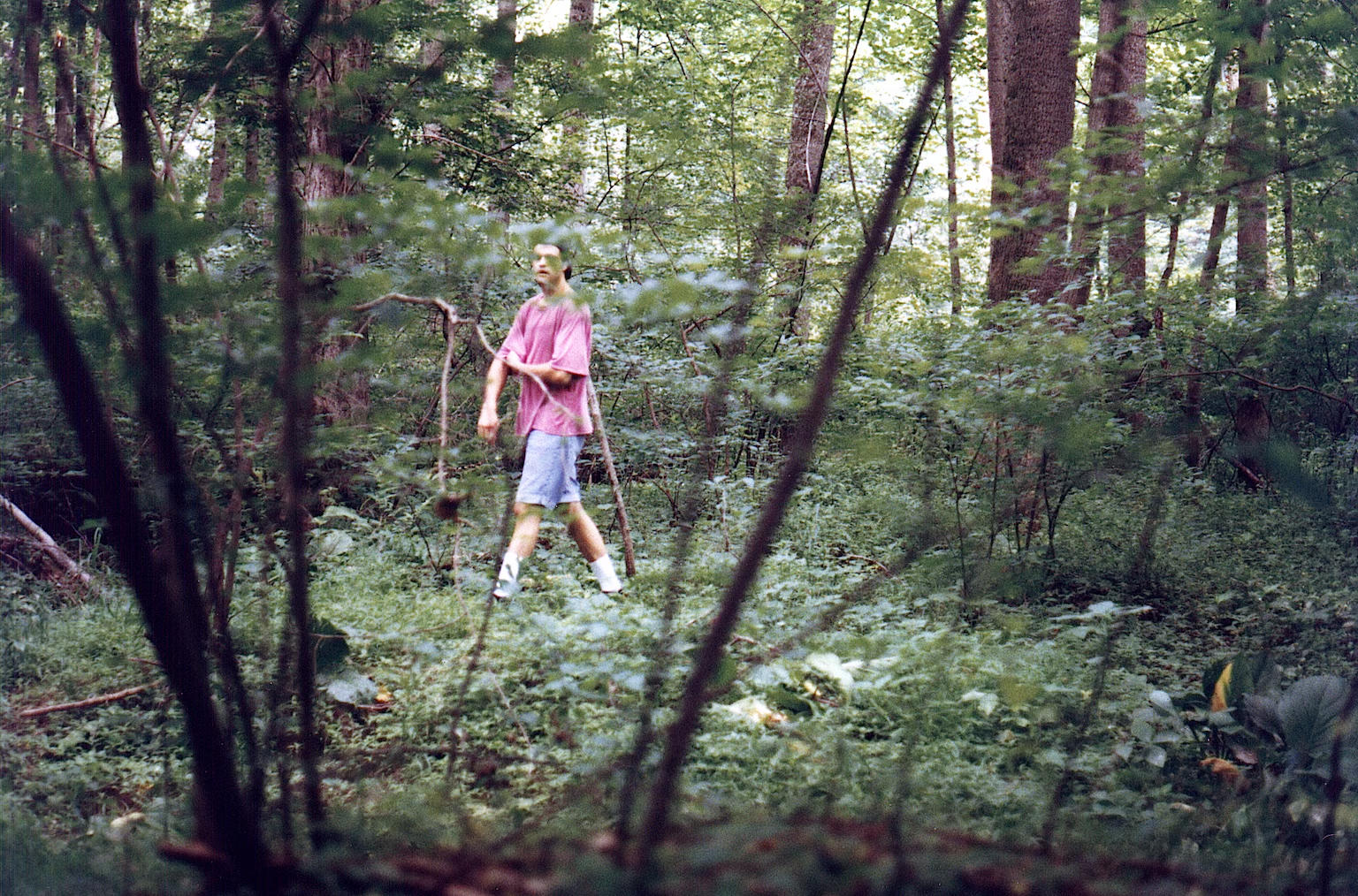 Article headline, titled 'How ‘The Blair Witch Project’ birthed a terrifying film subgenre in Maryland' and a lead image of Eduardo Sanchez walking in the forest where 'The Blair Witch Project was filmed'